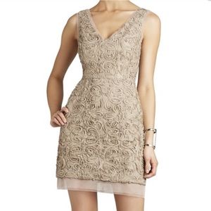 BCBG Maxazria Marissa Champagne V-Neck Dress